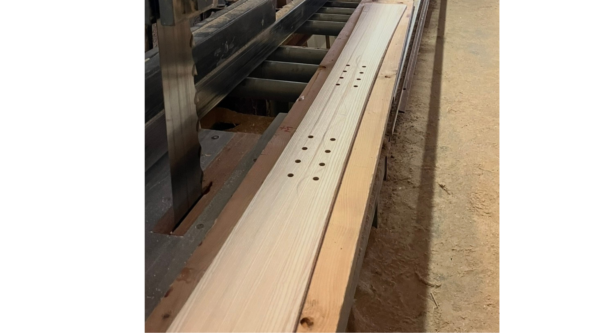 Noyau en frêne massif du Jura