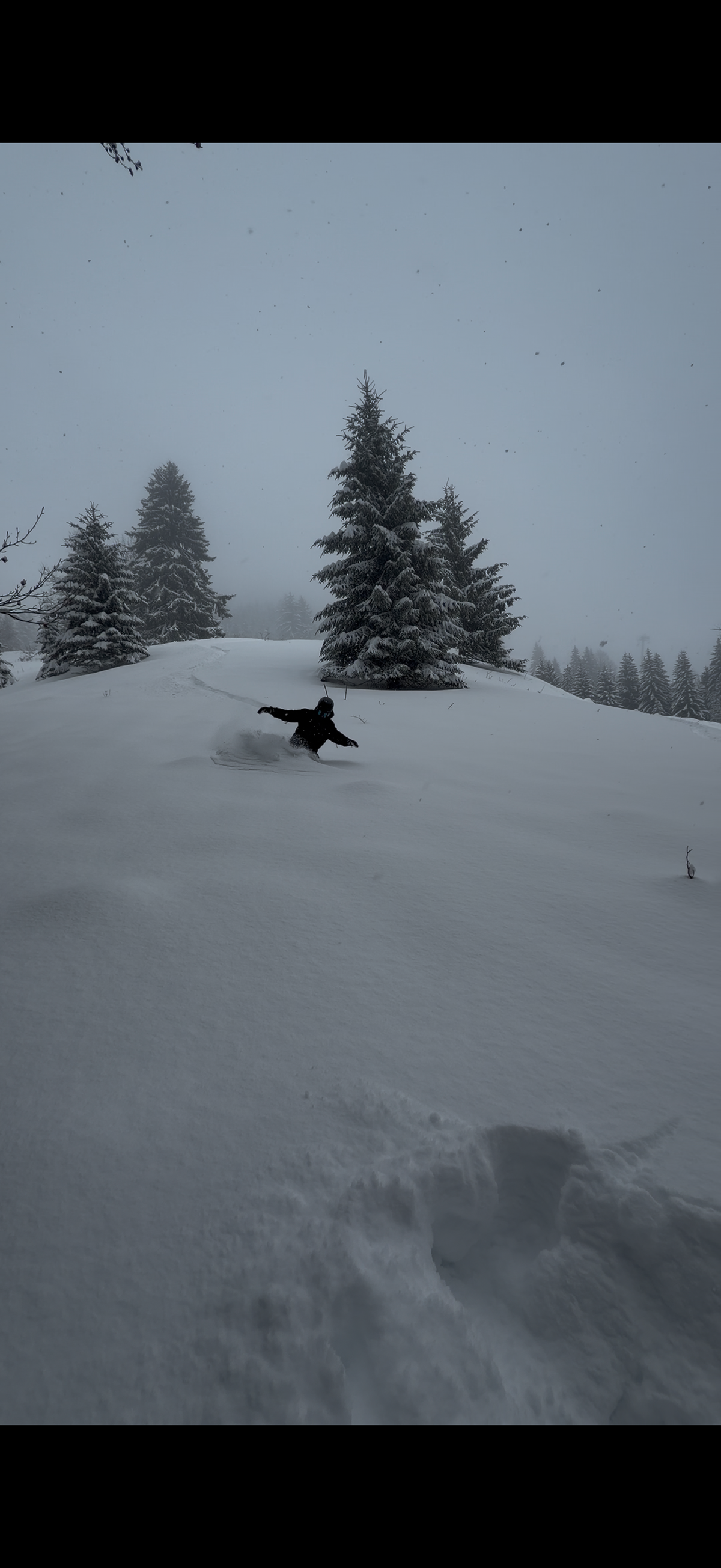 Snowlord relance la pratique du skwal